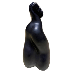 Bronze patiné noir mat de Jean Louis Toutain